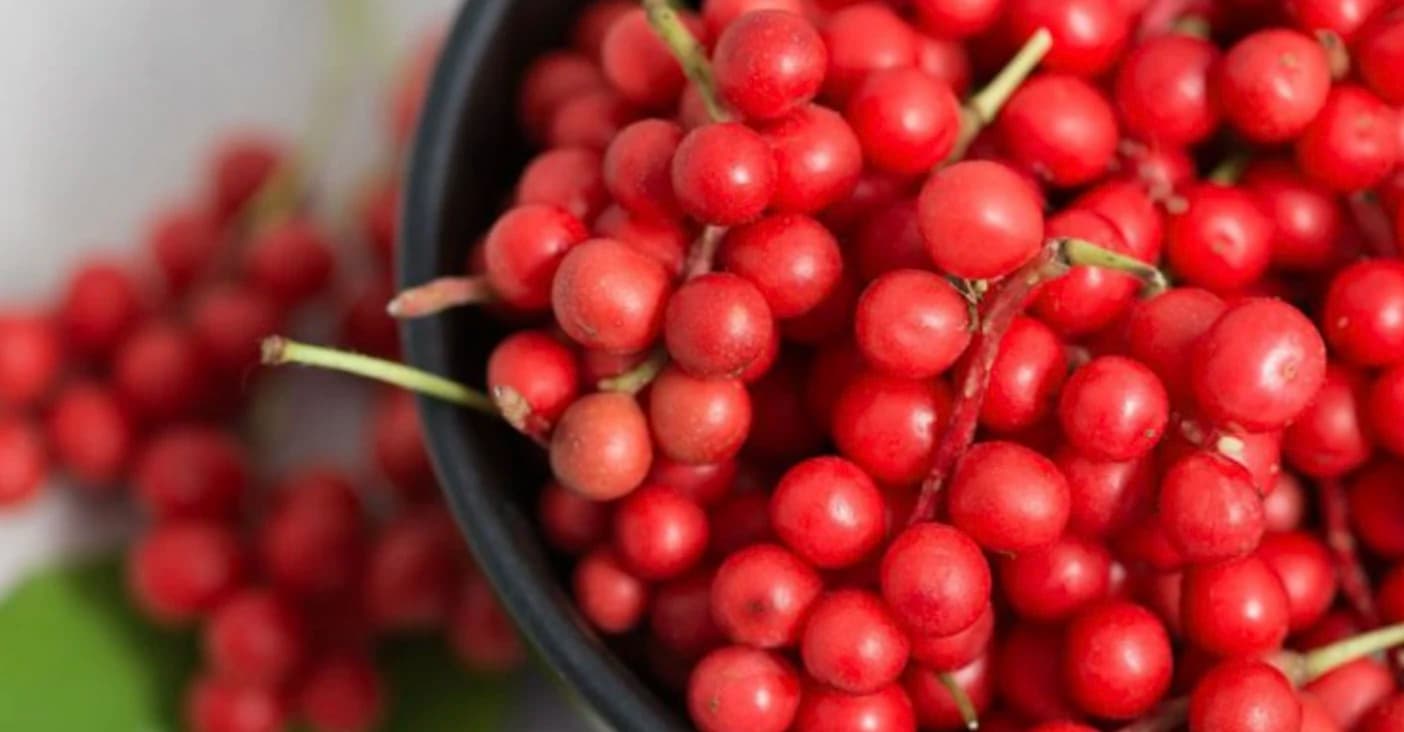 П’ять смаків лимонника китайського