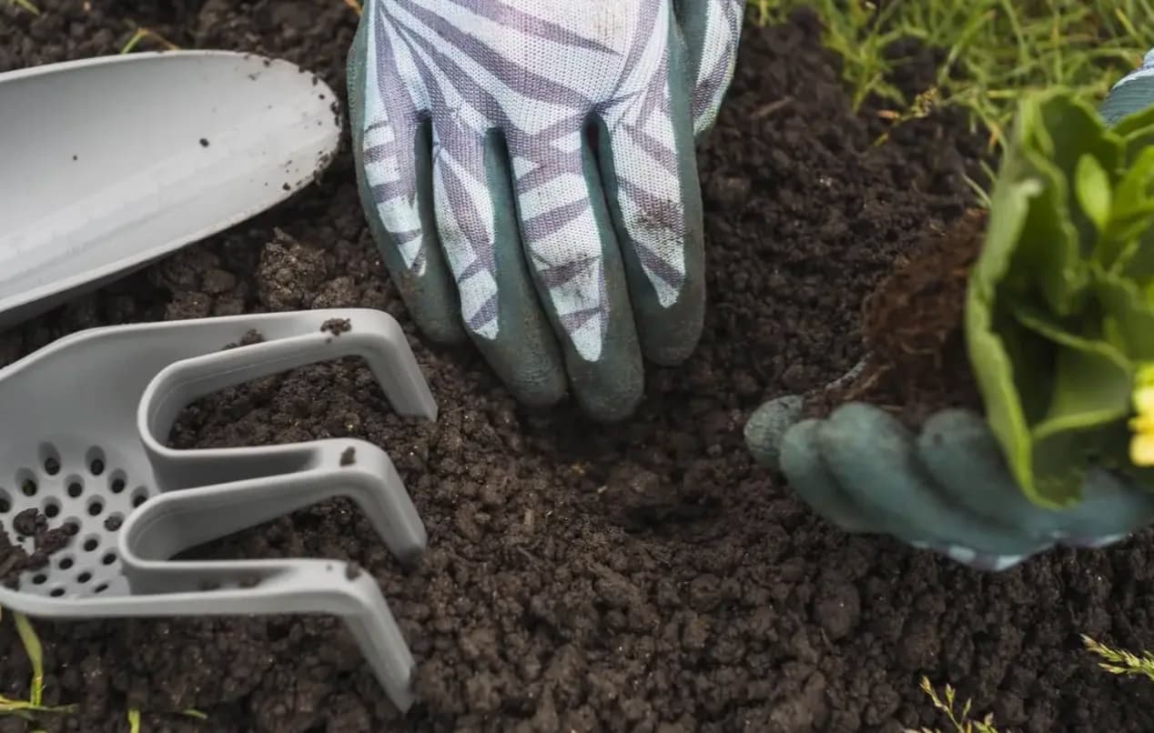 Ґрунти для саду: як визначити тип і підготувати ділянку 3